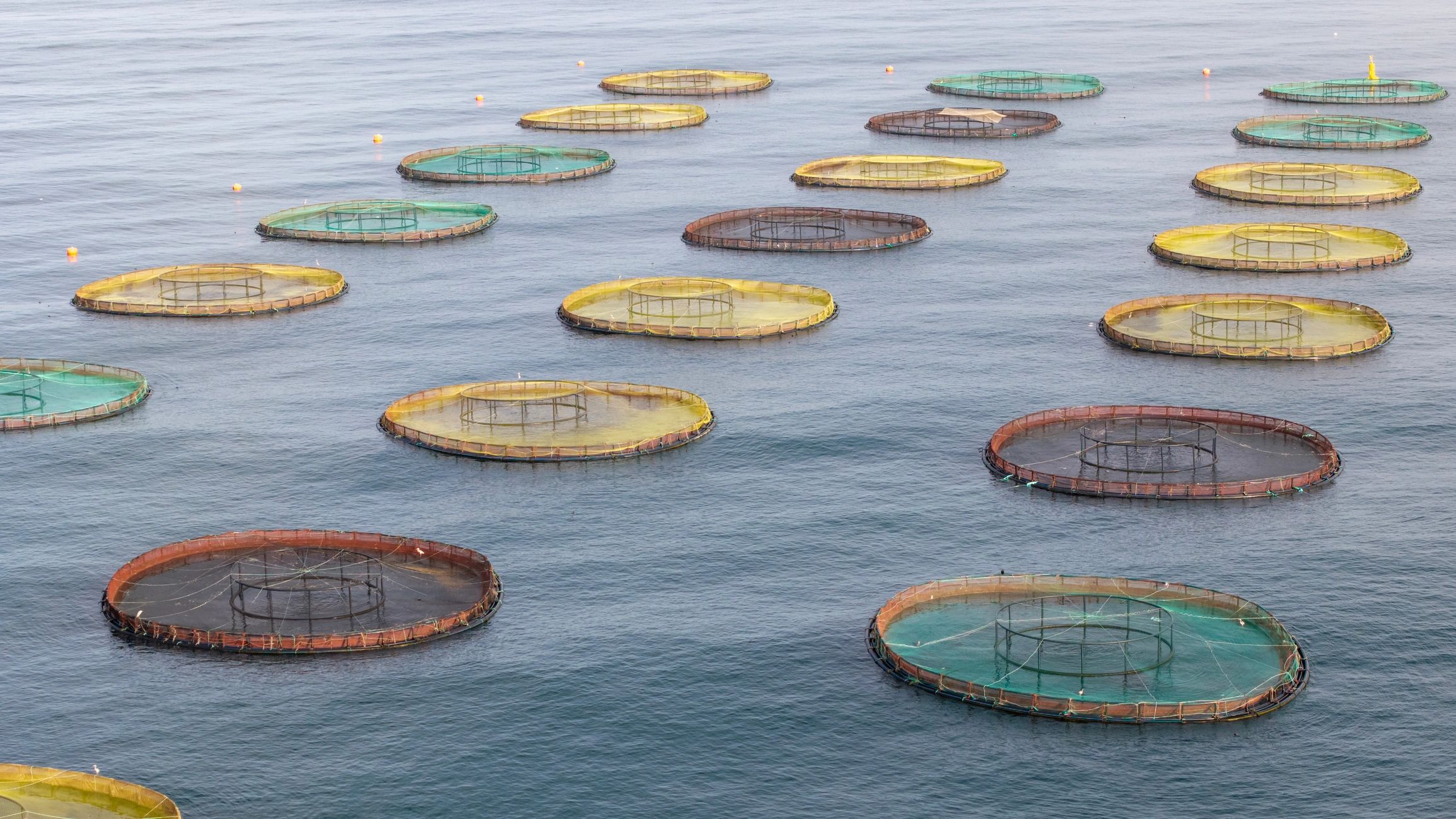 Fishing gear arranged on a surface