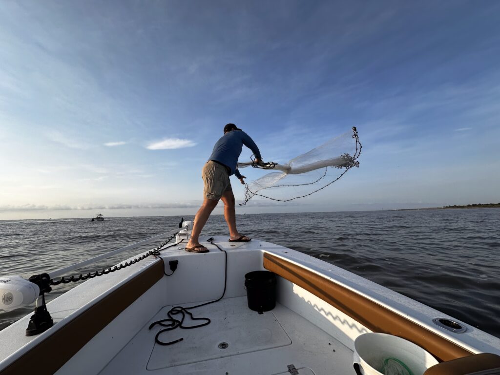 Best Saltwater Cast Nets: The Complete Buying Guide for Serious Anglers